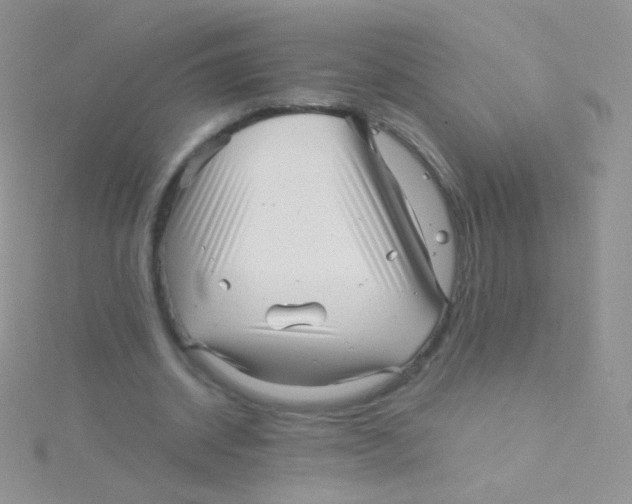 X0000115040534200911231135