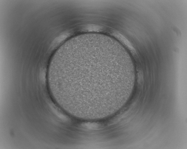 X0000115040537200911231135