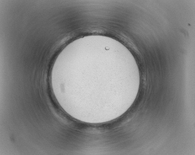 X0000115040538200911231135