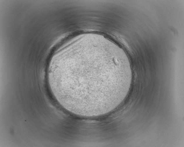 X0000115040539200911231135