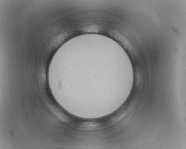 X0000115040541200911231135