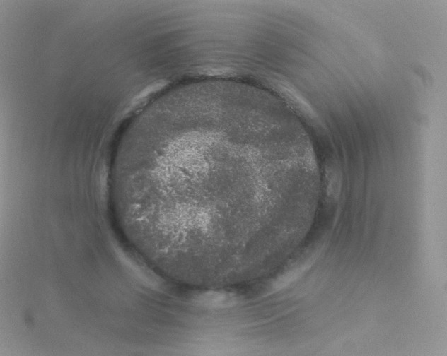 X0000115040542200911231135