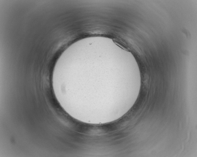 X0000115040547200911231135