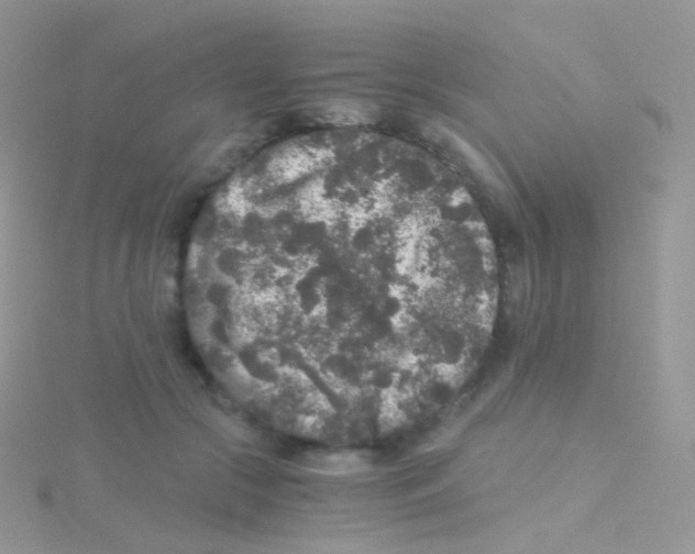 X0000115040553200911231135