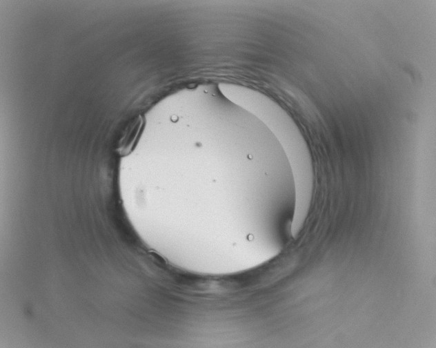 X0000115040558200911231135