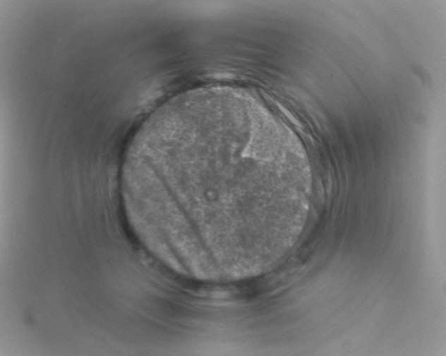 X0000115040559200911231135