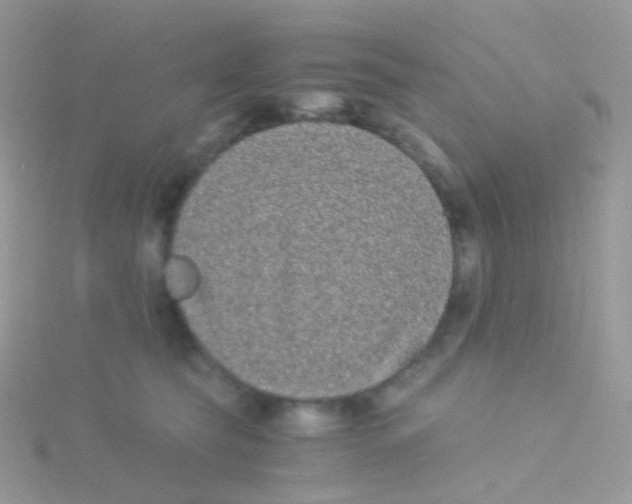 X0000115040565200911231135