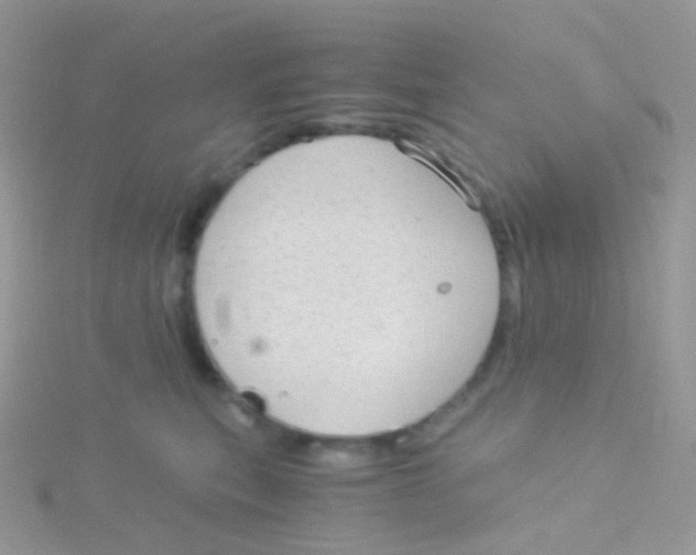 X0000115040567200911231135