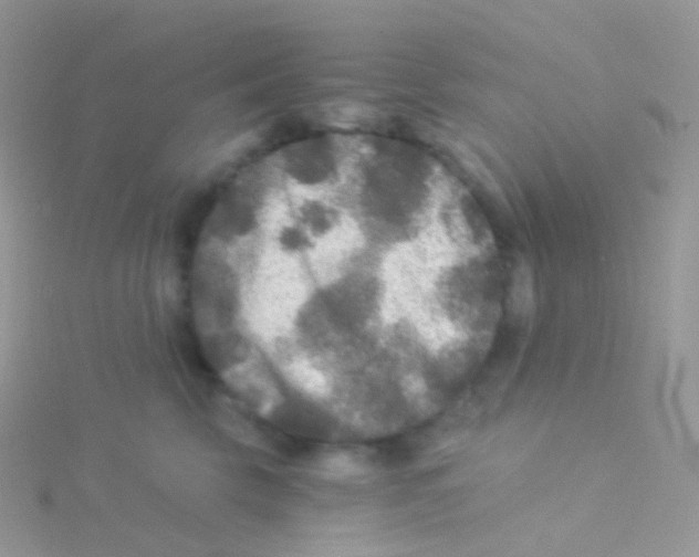 X0000115040569200911231135