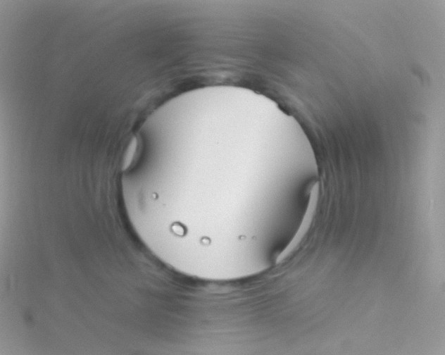 X0000115040570200911231135