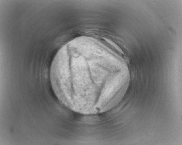 X0000115040571200911231135