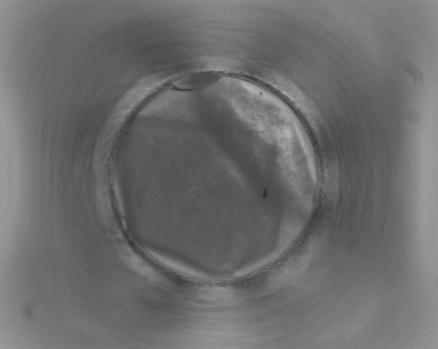 X0000115040577200911231135