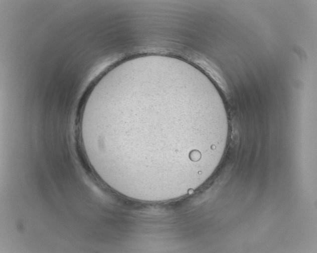 X0000115040578200911231135