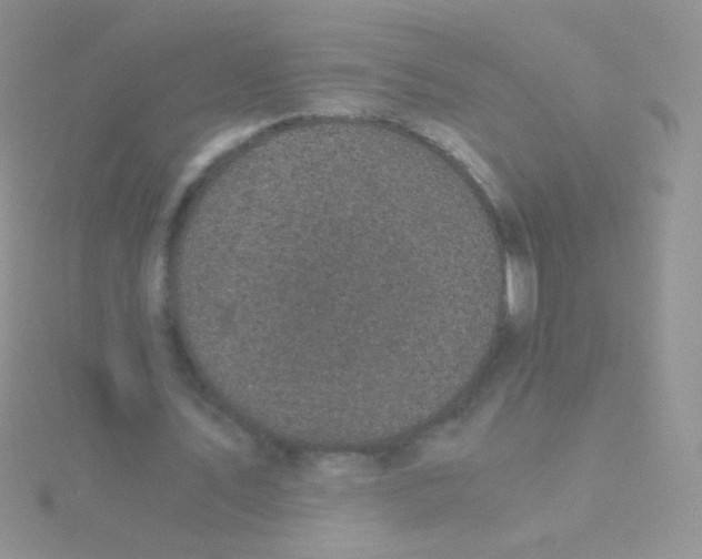 X0000115040579200911231134