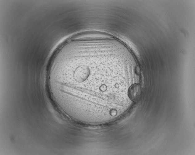 X0000115040580200911231134