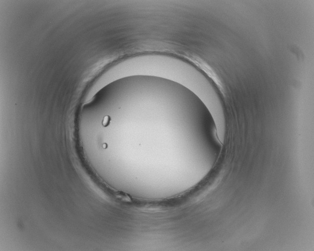 X0000115040581200911231134