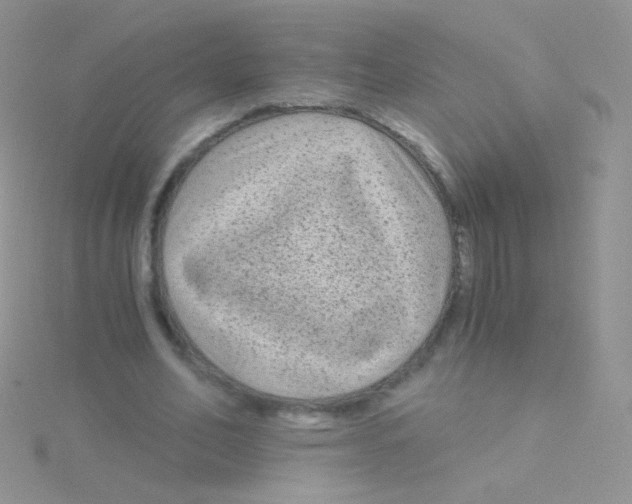 X0000115040582200911231134