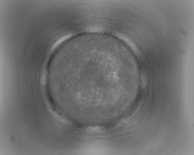 X0000115040583200911231134