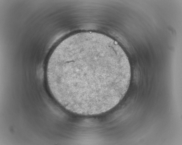 X0000115040584200911231134