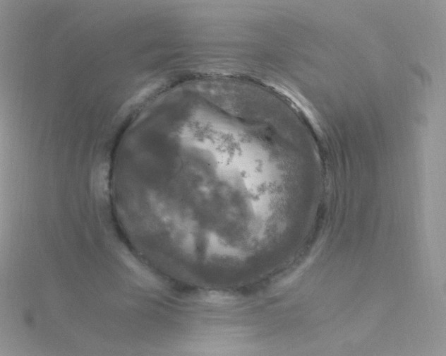 X0000115040585200911231134