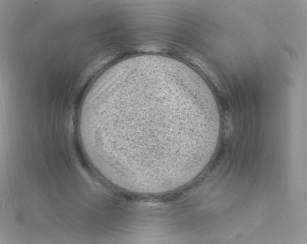 X0000115040586200911231134