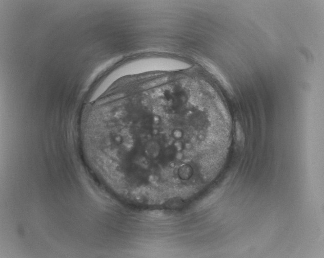 X0000115040588200911231134