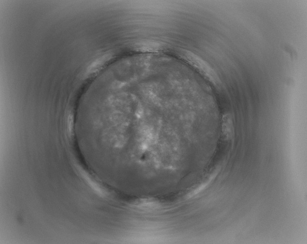 X0000115040589200911231134