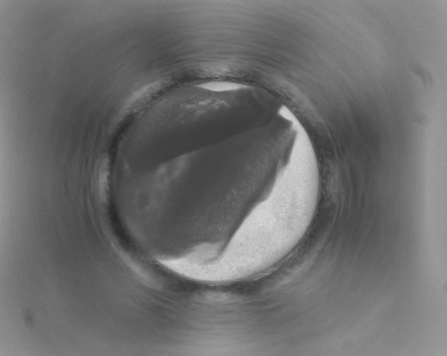 X0000115040590200911231134