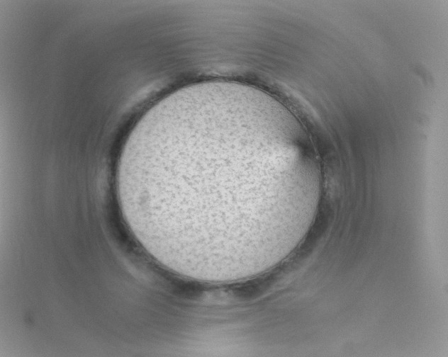 X0000115040591200911231134