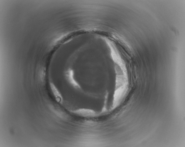 X0000115040592200911231134