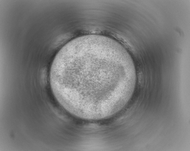 X0000115040594200911231134