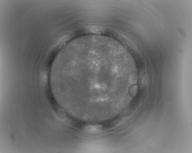 X0000115040595200911231134