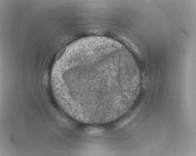 X0000115040597200911231134