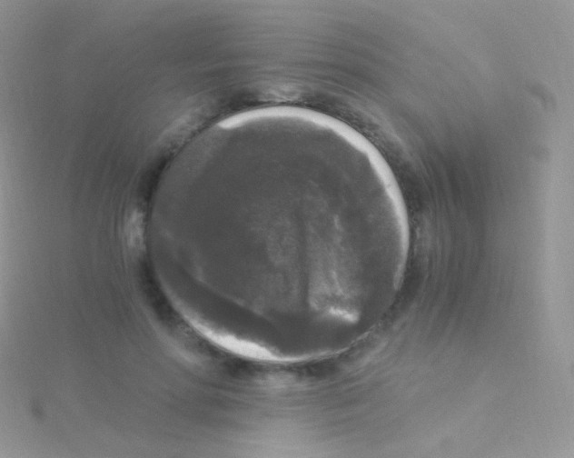 X0000115040598200911231134