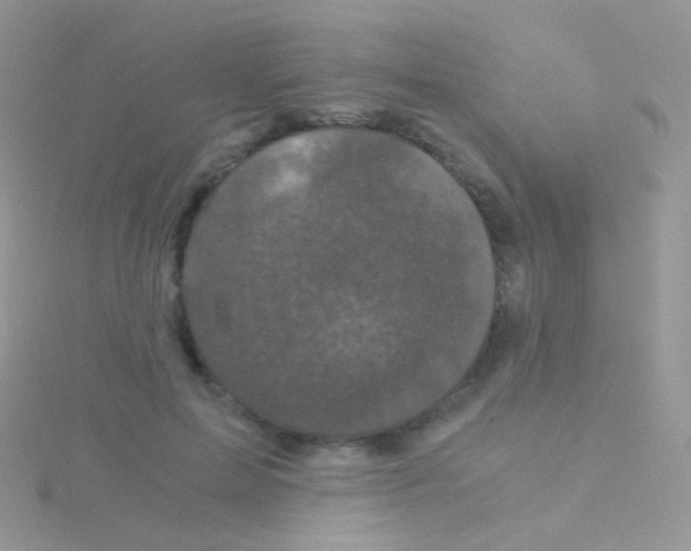 X0000115040599200911231134