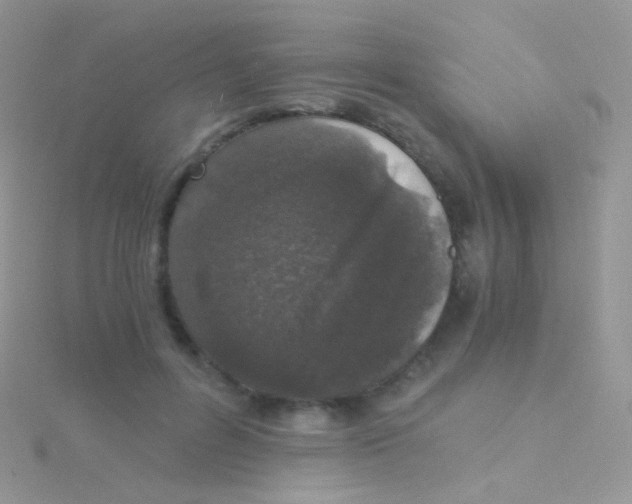 X0000115040600200911231134