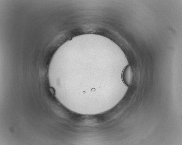 X0000115040601200911231134