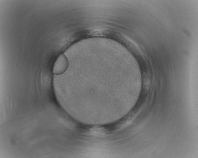 X0000115040603200911231134