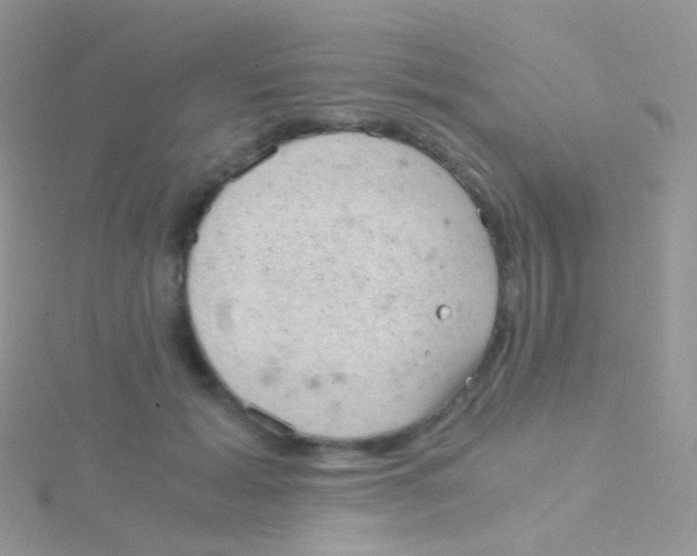 X0000115040605200911231134