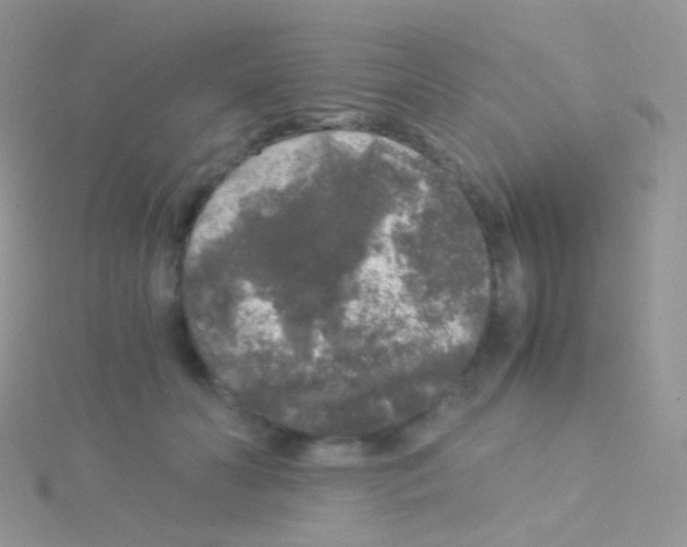 X0000115040606200911231134