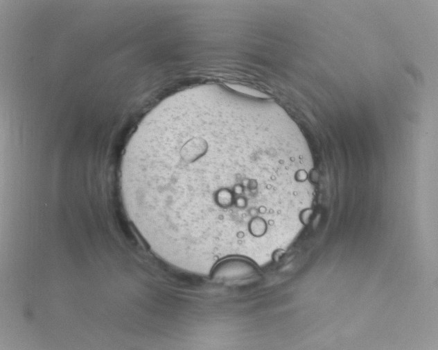 X0000115040608200911231134