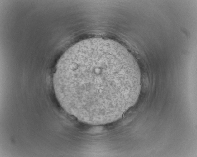 X0000115040609200911231134