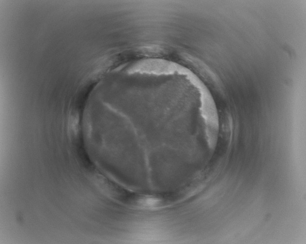 X0000115040610200911231134