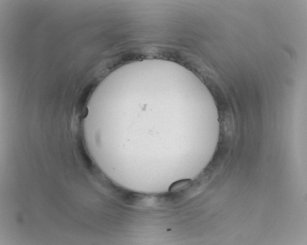 X0000115040611200911231134