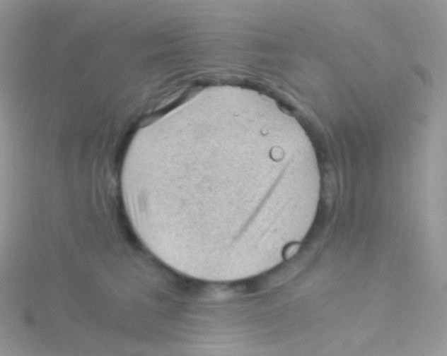 X0000115040613200911231134