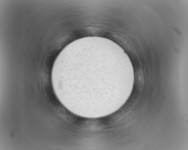 X0000115040615200911231134