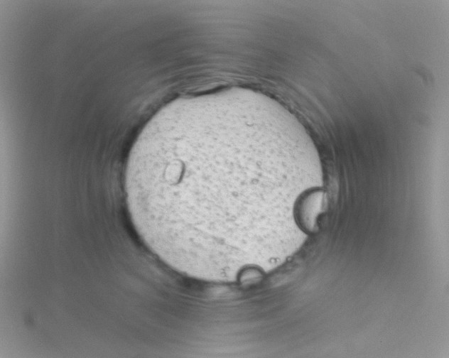 X0000115040616200911231134