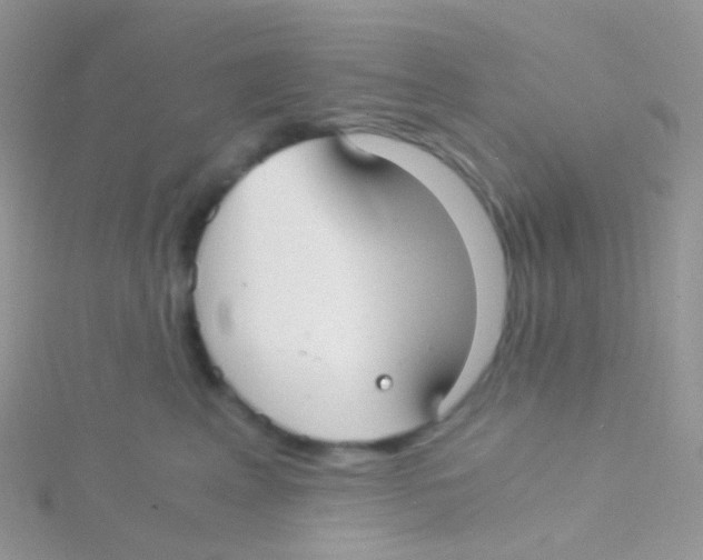 X0000115040617200911231134