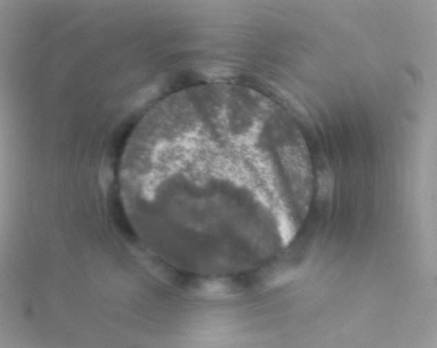 X0000115040618200911231134