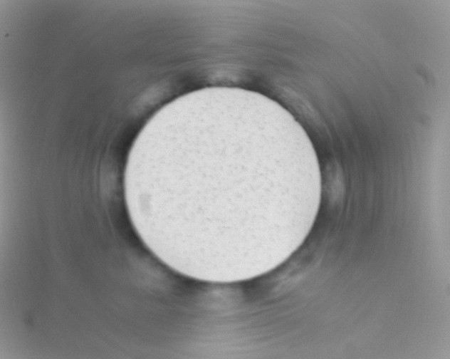 X0000115040619200911231134